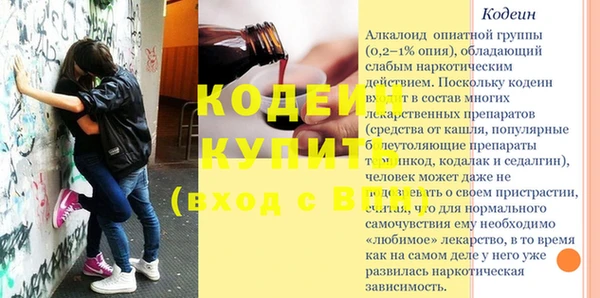молекула духа Алексин