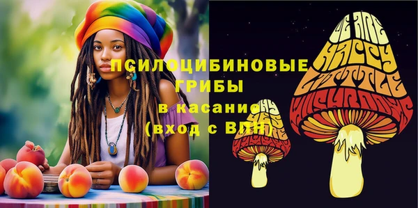 не бодяженный Покачи
