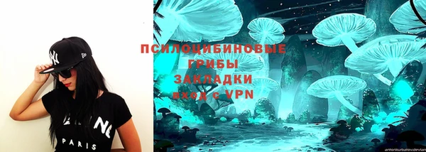 стаф Алексеевка