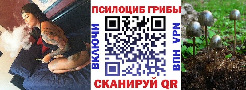 где можно купить   Апатиты  Псилоцибиновые грибы MAGIC MUSHROOMS 